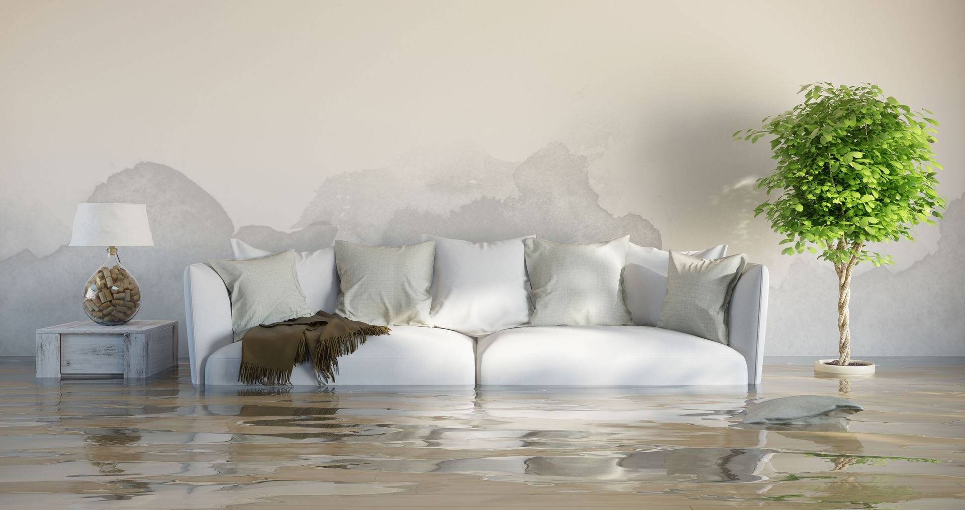 water damage remediation company