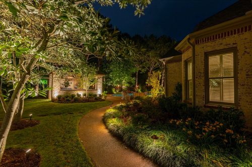 Elevated Lighting Co