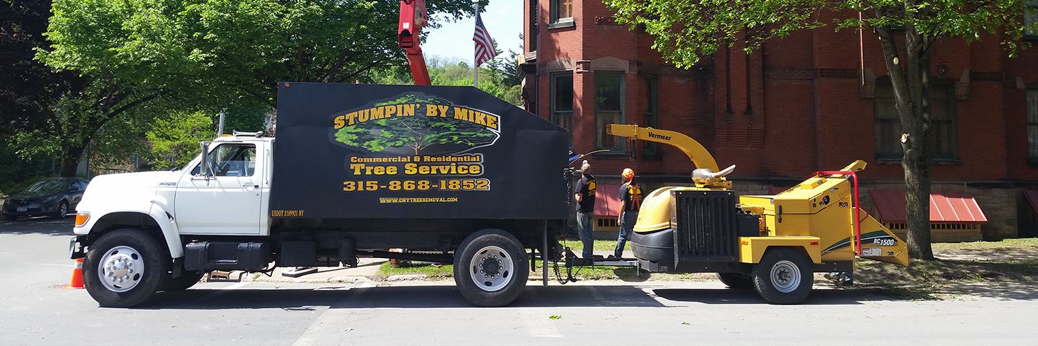 Tree Services