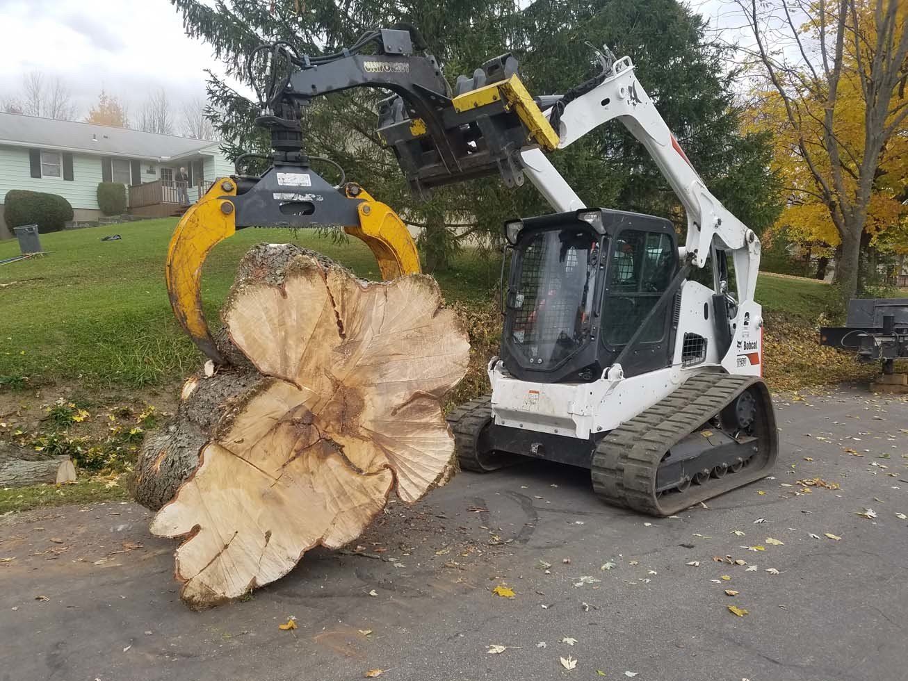 Tree Services