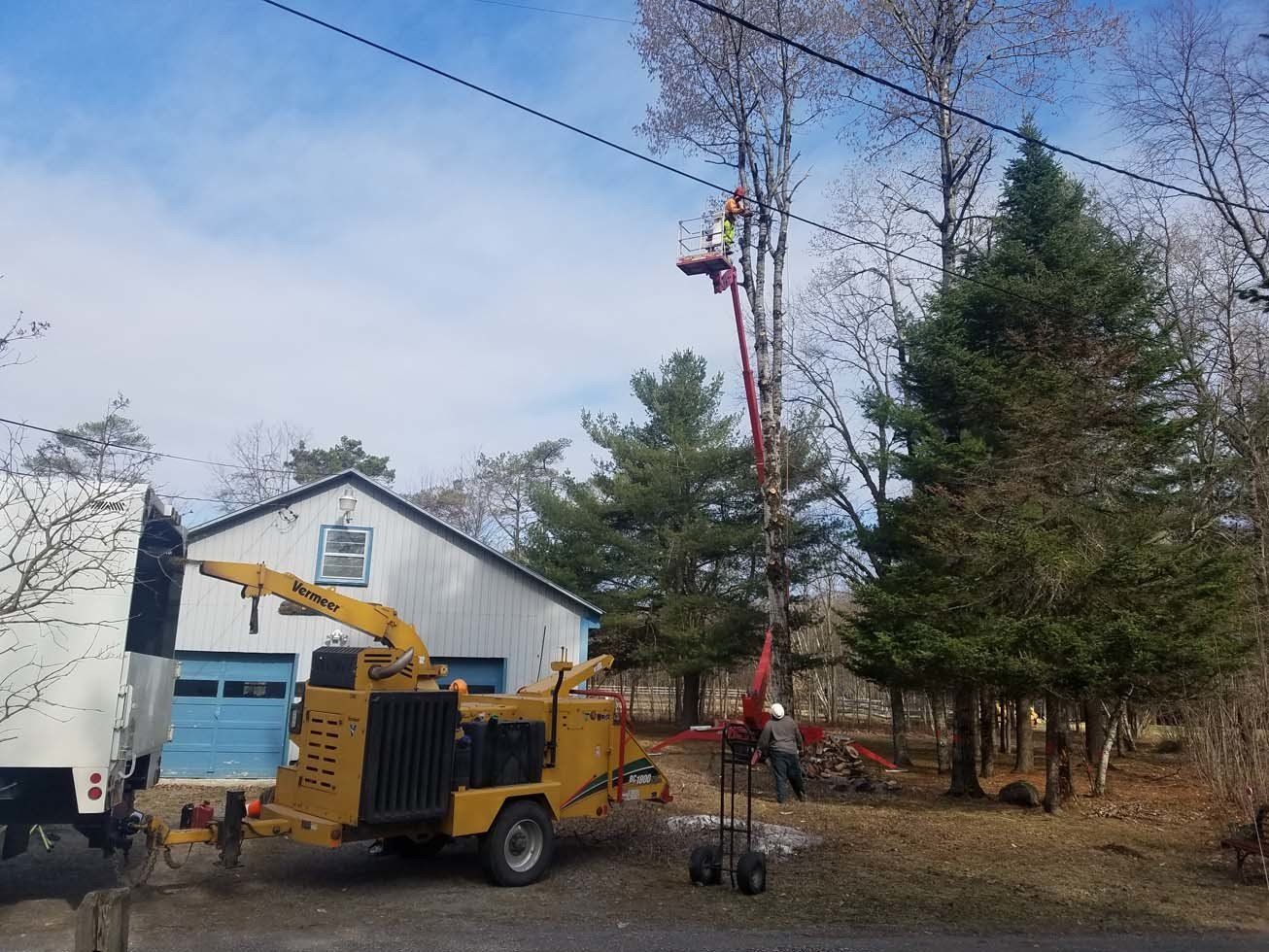 Tree Services
