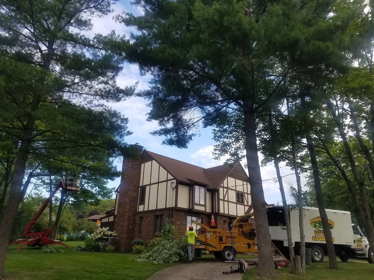 Tree Services