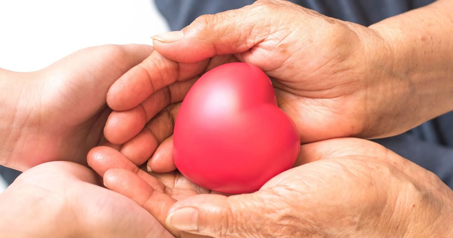 Two pairs of hands cradling a red heart-shaped object.