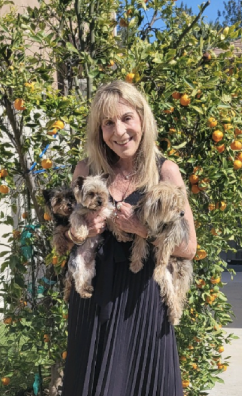 A woman in a black dress is holding two small dogs in front of an orange tree.