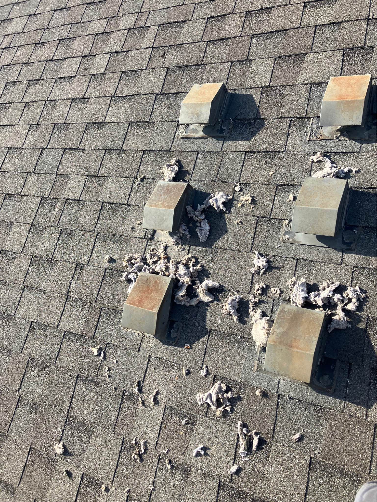 A close up of a roof with a lot of birds on it.