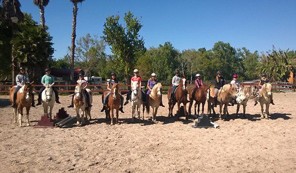 Horseback riding school