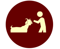 petting-zoo