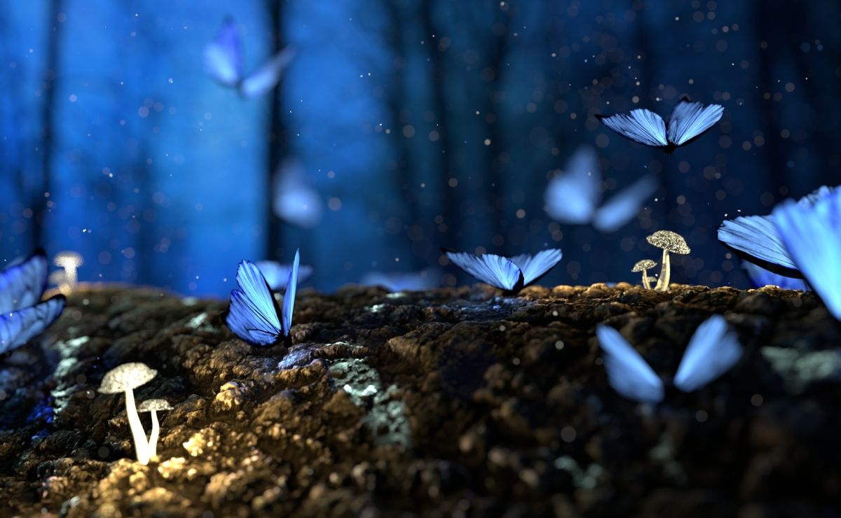 blue butterflies and mushrooms