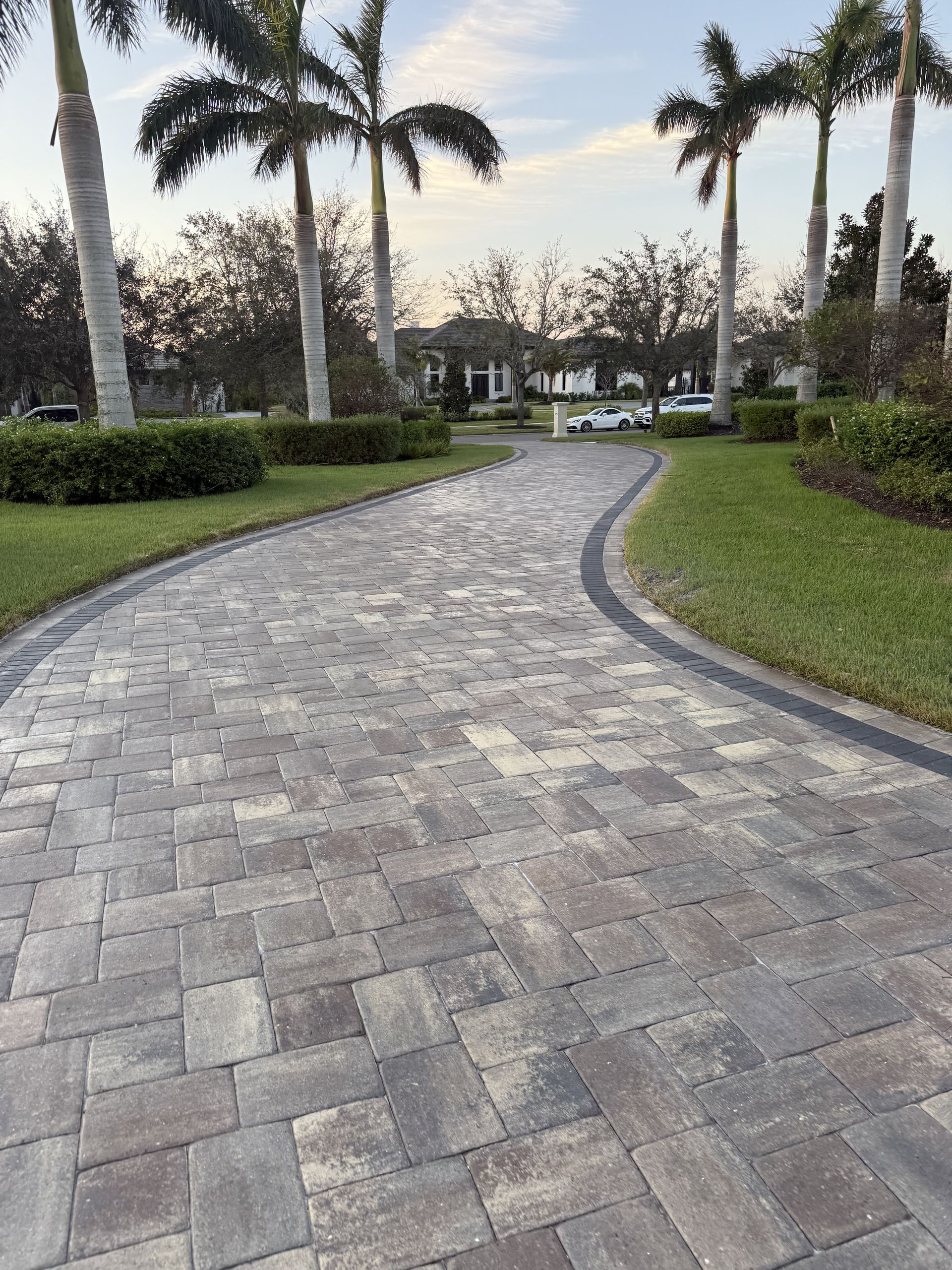 Curved stone walkway lined with palm trees and trimmed hedges in a landscaped park at dusk