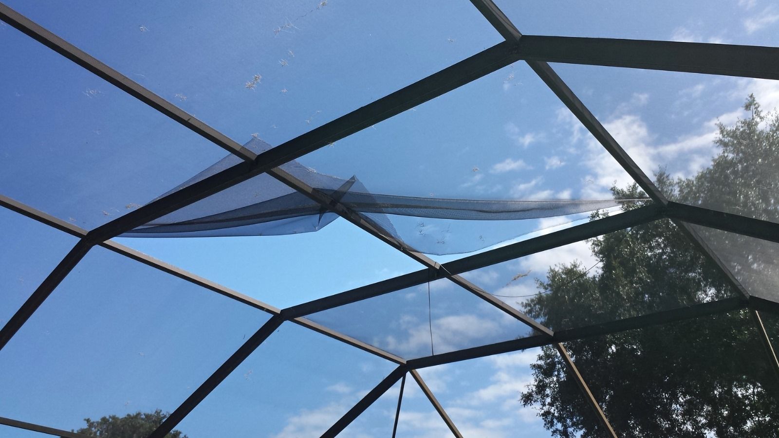 Black mesh canopy over a fence against a blue sky with clouds and a tree