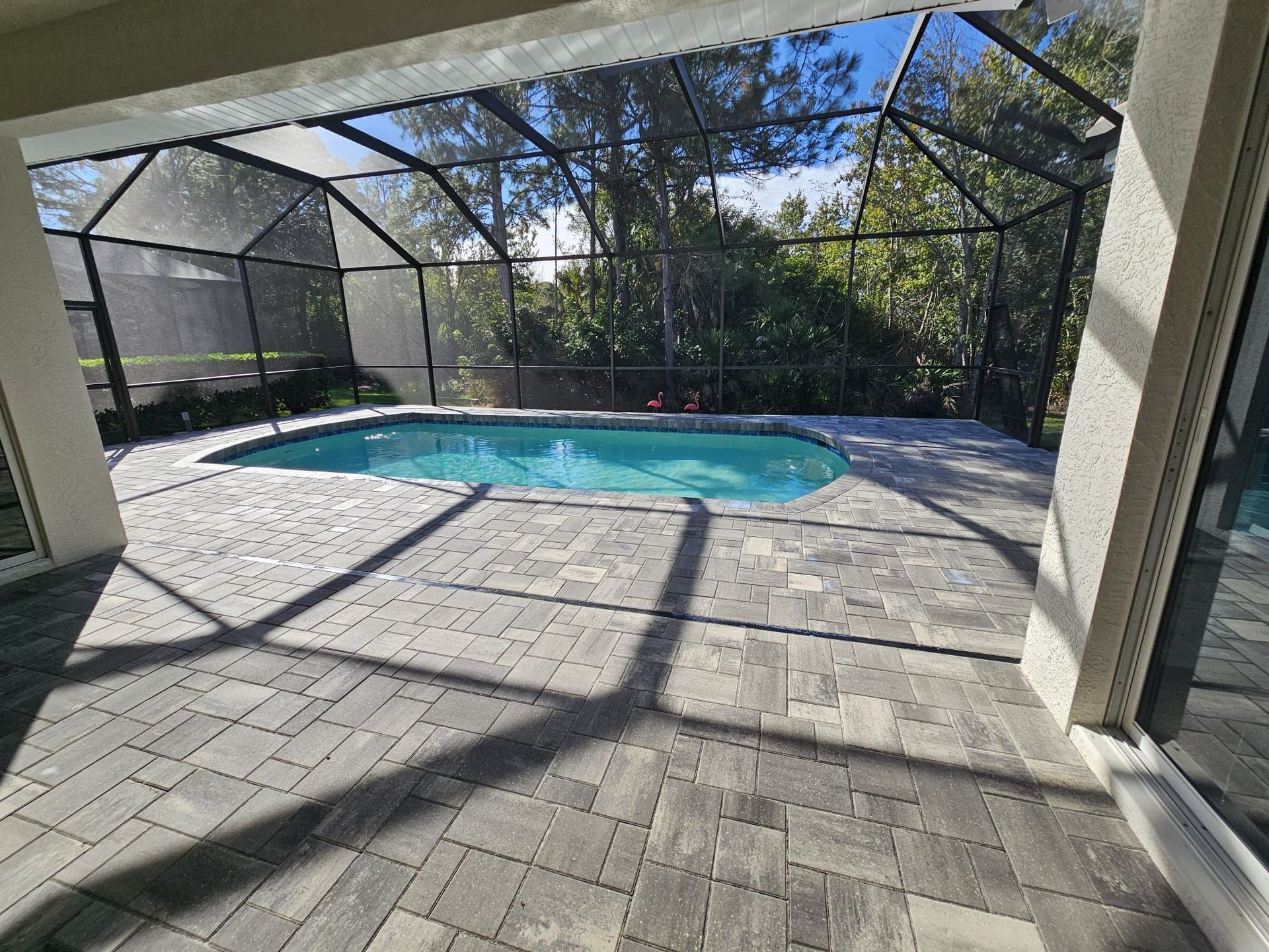 Screened backyard pool with patio pavers and trees beyond the enclosure.