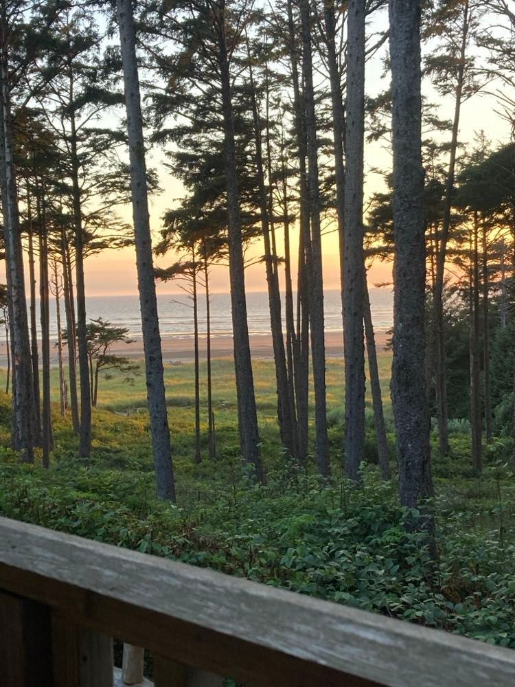 A view of the ocean through the trees from a deck