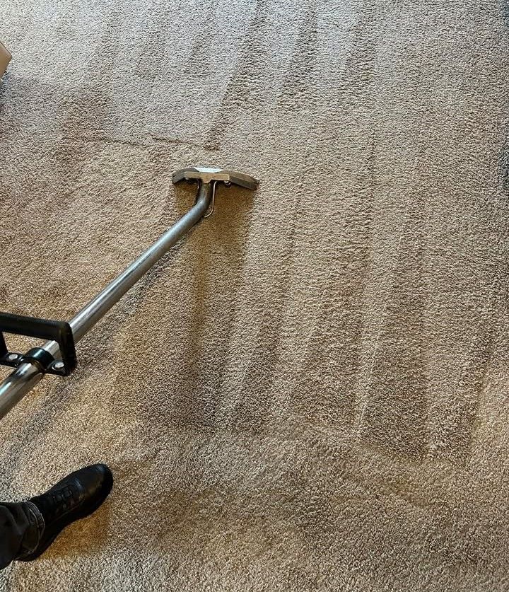 Carpet being cleaned with a machine; visible stripes show cleaned area. A foot in a black boot is visible.