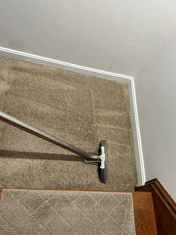 Carpeted stairs being cleaned with a vacuum. Gray carpet, white trim, wood stairs.