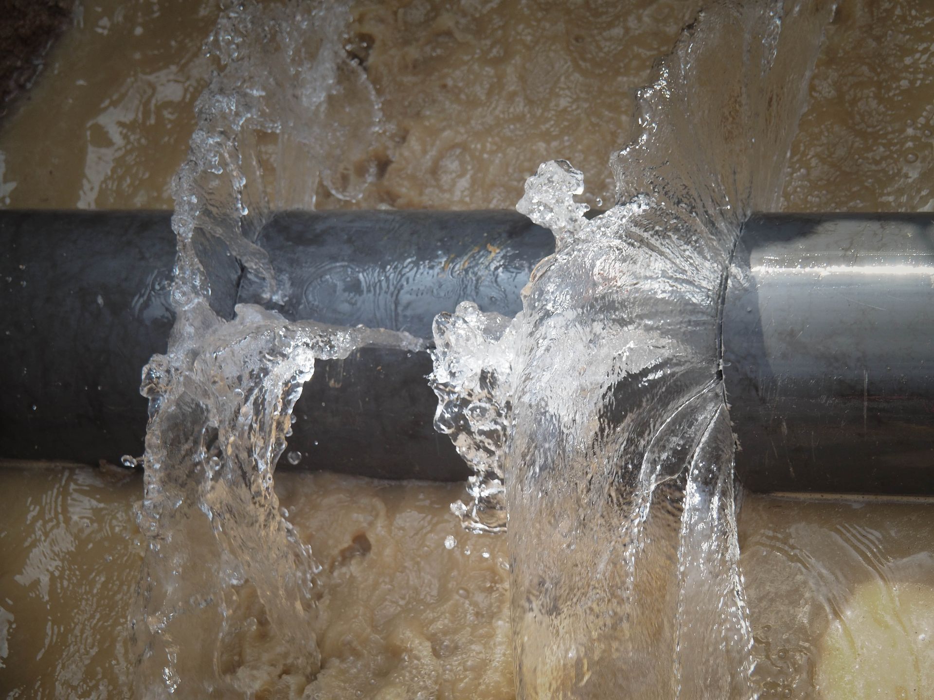water damage services