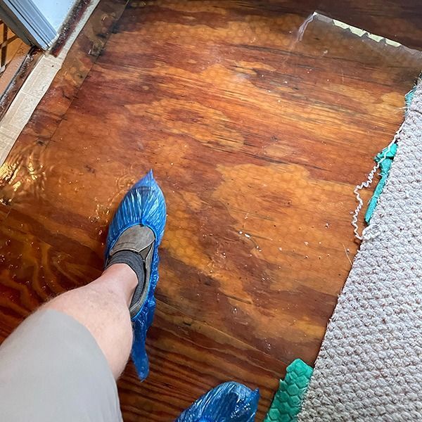 Person’s foot in a blue shoe cover stepping on a wooden floor beside carpet and tile edges