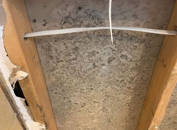 Damaged ceiling panel with a hole and exposed framing, plus a white cable across the top.