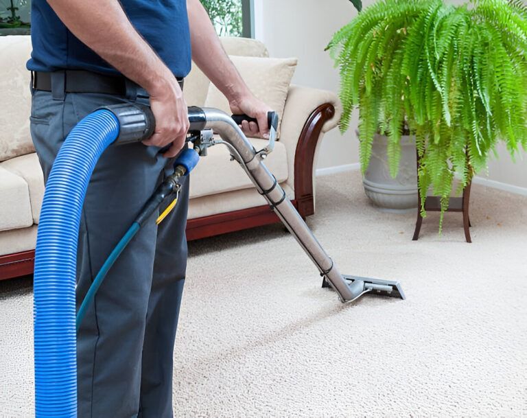 Carpet cleaner vacuuming a beige living room carpet beside a sofa and potted plant.