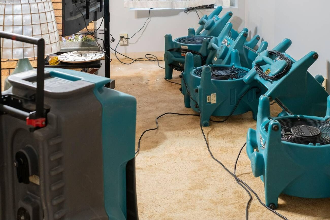 Teal industrial machines lined up in a workshop with cords on the floor