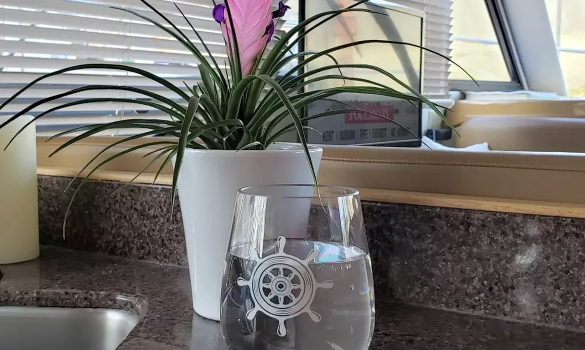 Potted plant on a kitchen counter beside a clear glass of water by a window