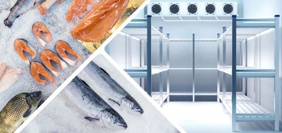 Fish and seafood on ice beside a stainless steel industrial freezing chamber