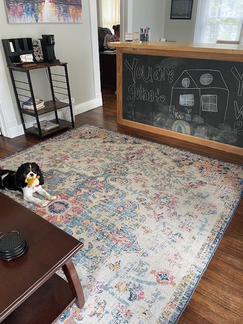 A tricolor Cavalier King Charles Spaniel sits on an ornate, light-colored rug next to a dark wood coffee table.