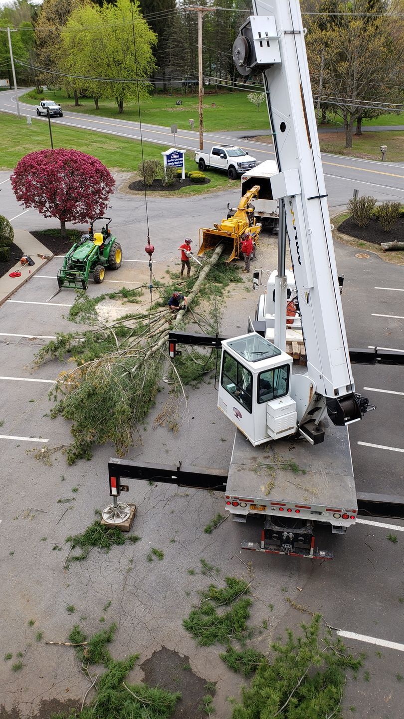 Tree removal in progress: Crane truck, workers, wood chipper, tractor, and fallen tree branches on a parking lot.
