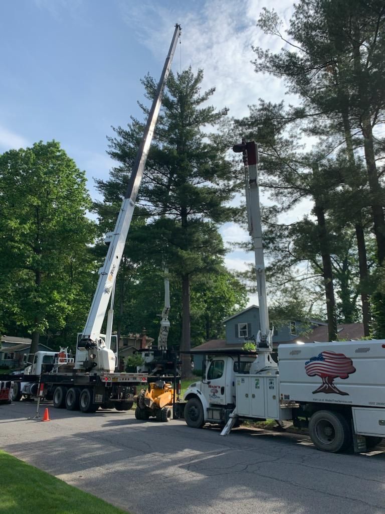 A tall crane and a tree service truck working on a tree in a residential street.