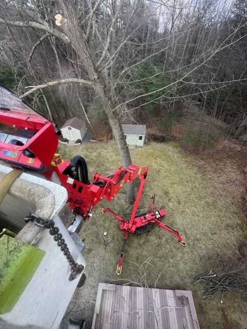 A red tree-cutting machine is trimming a bare tree in a backyard with small houses.