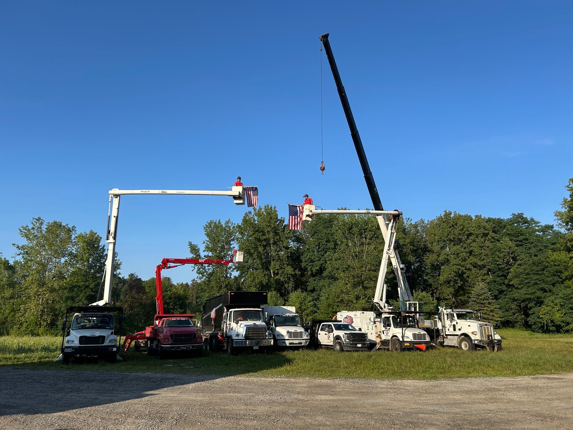 Bucket trucks and other service vehicles, lined up near trees, under a blue sky.