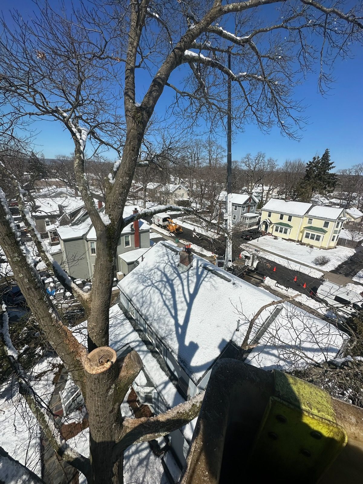Tree trimming in snowy residential area; a gloved hand holds a saw.