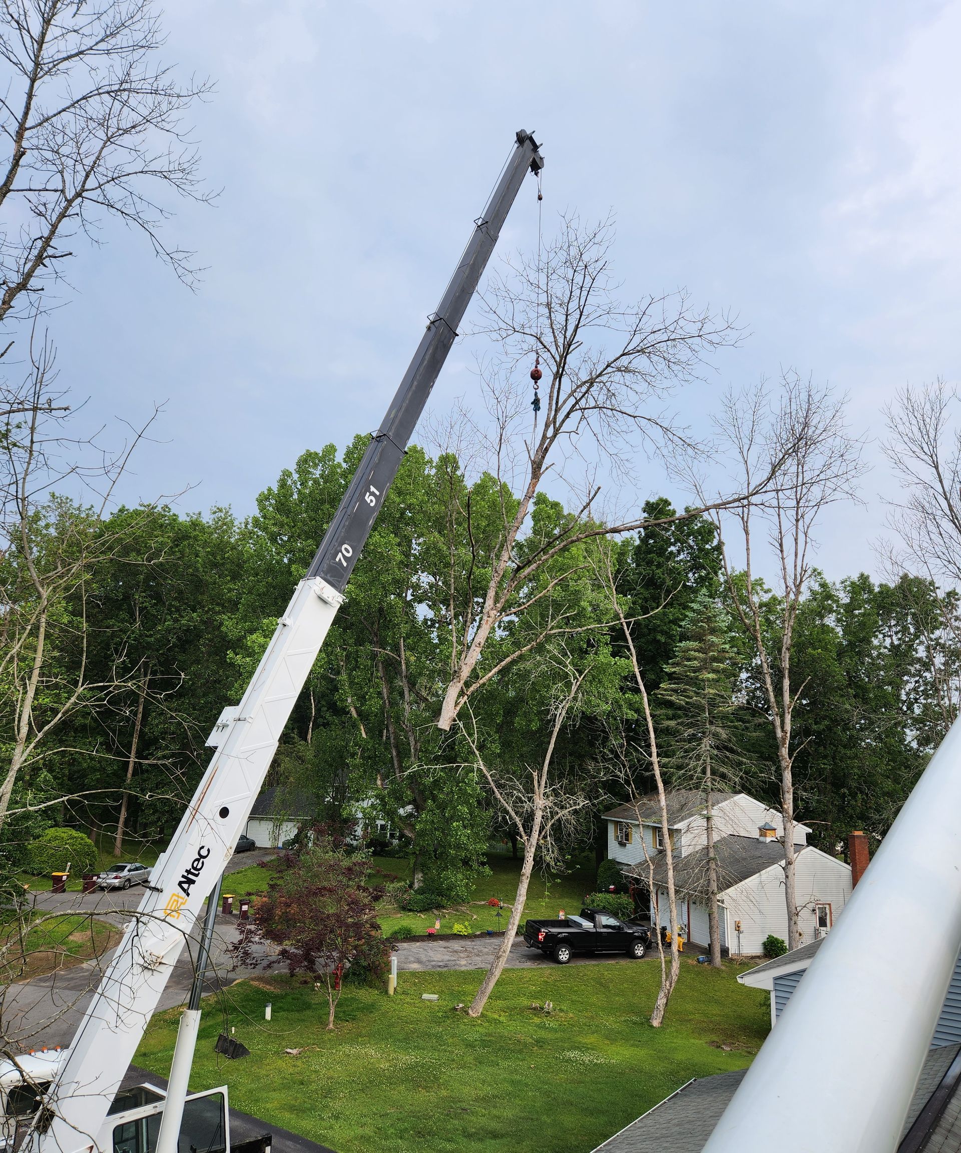 A crane removing a tree from a residential area; green trees and a cloudy sky in the background.