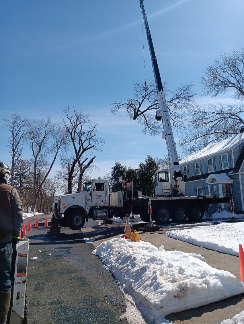 Crane trimming tree in a snowy residential area. Blue sky, house, and workers visible.