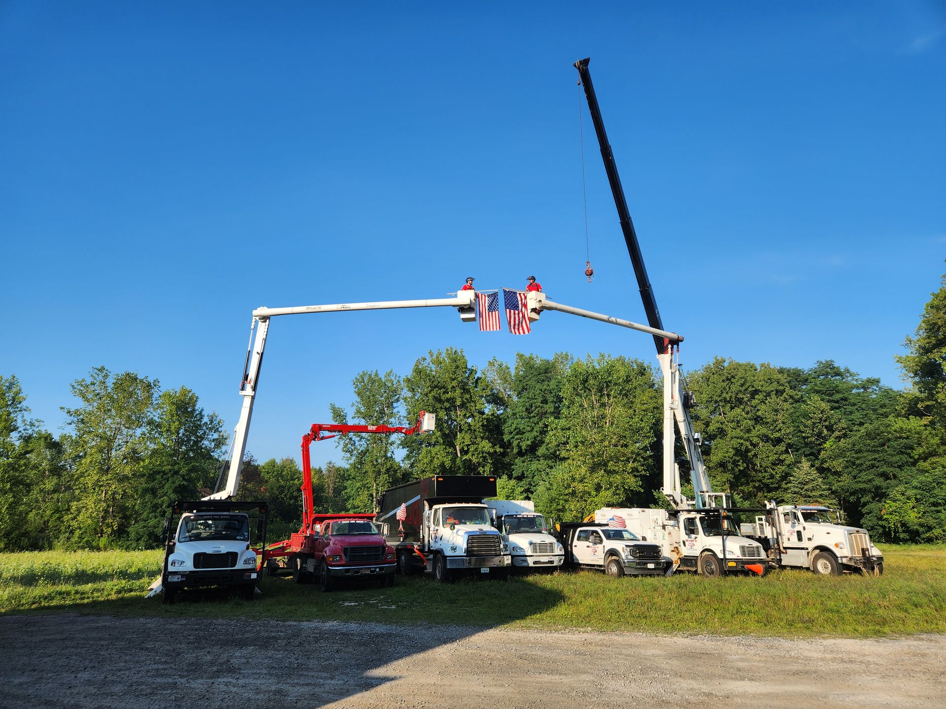 Lineup of tree trimming trucks with extended arms, blue sky.