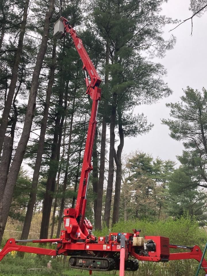 Red tree-trimming lift extends high, reaching branches. Tracked base on ground, surrounded by trees.