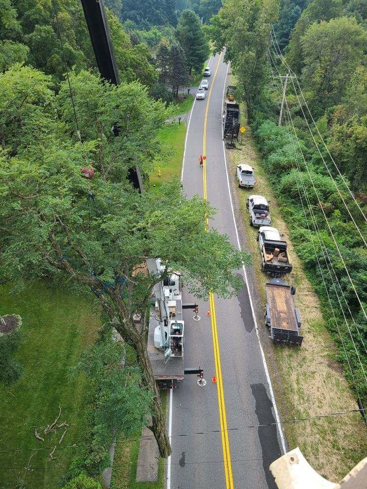 Road with utility trucks parked on the side. Person in red stands on the road. Lush trees and foliage surround.