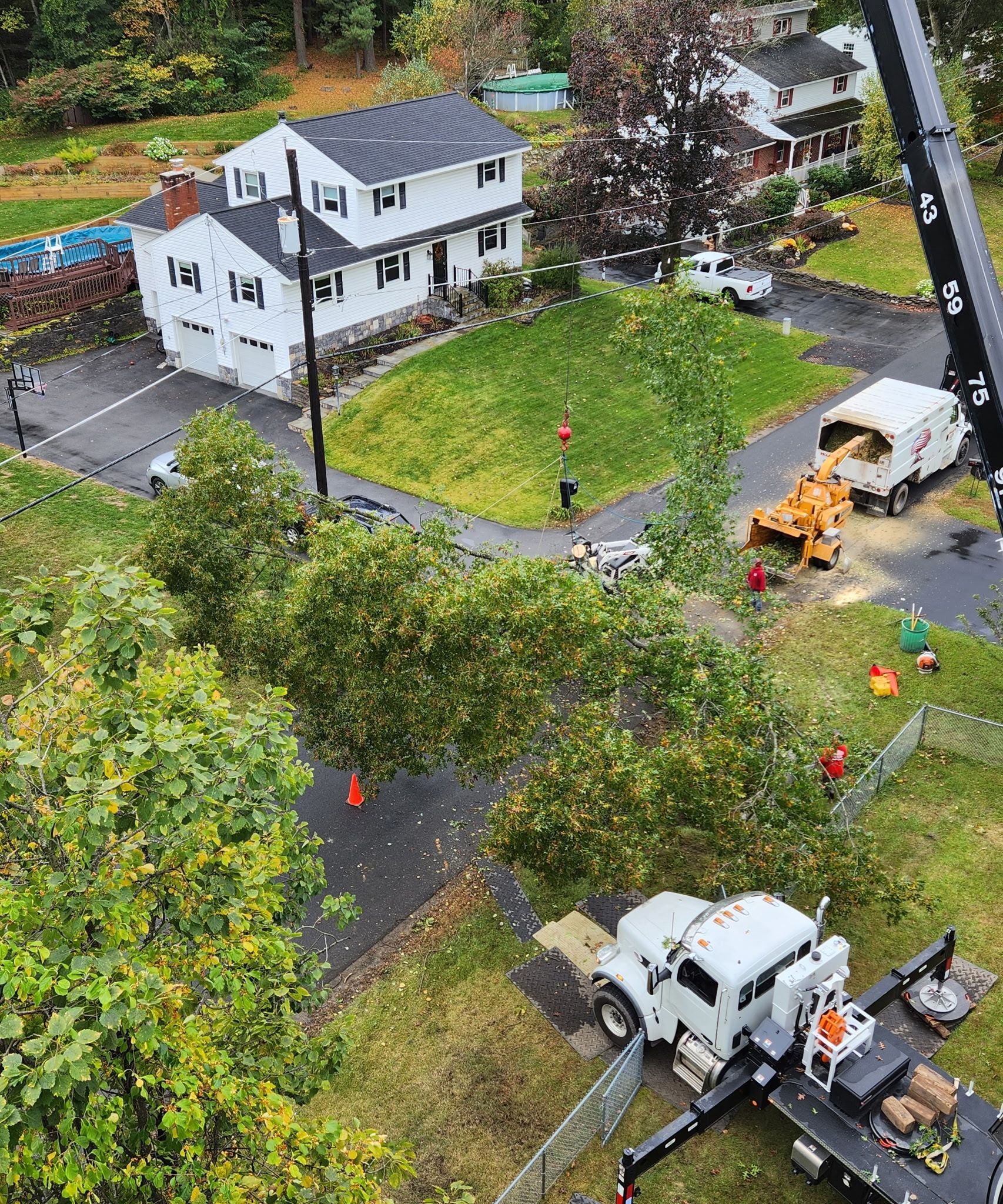 Tree removal: White trucks and crane in a residential neighborhood, trees being cut, white house in background.