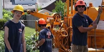 Three tree workers in hard hats and safety gear operating equipment outdoors.
