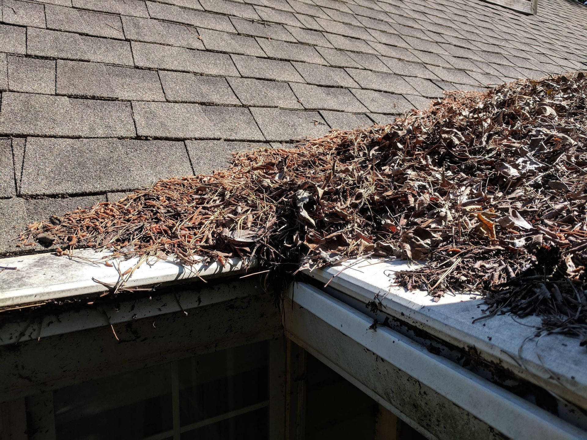 a roof with leaves on it