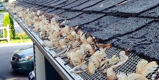 a close-up of a gutter