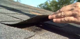 a hand holding a brush