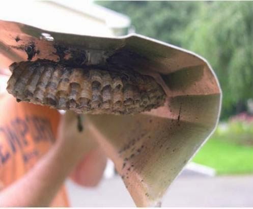a close-up of a metal object