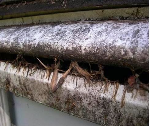 Gutter Cover