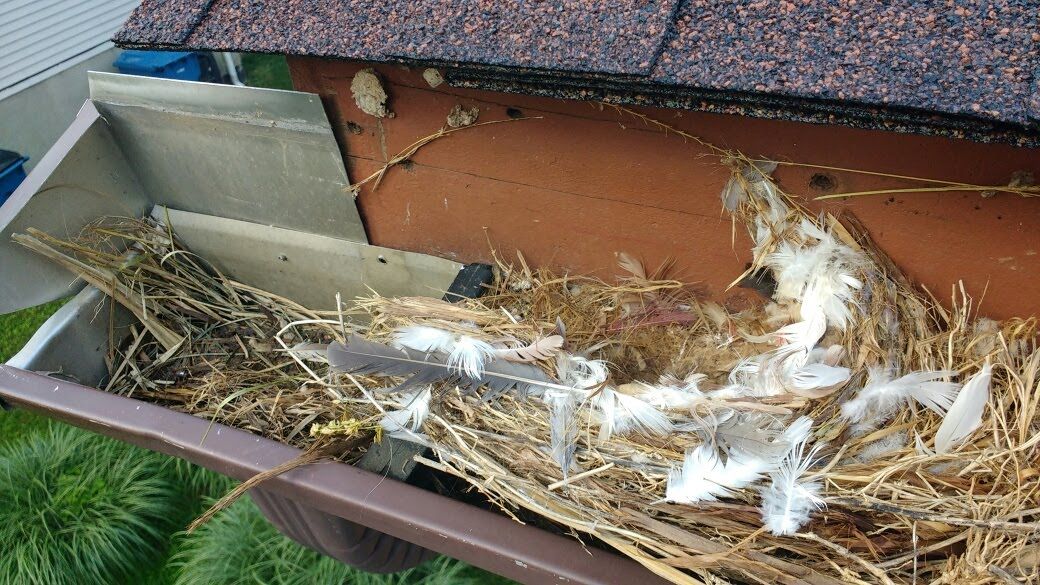 helmet and brush together before brush 2