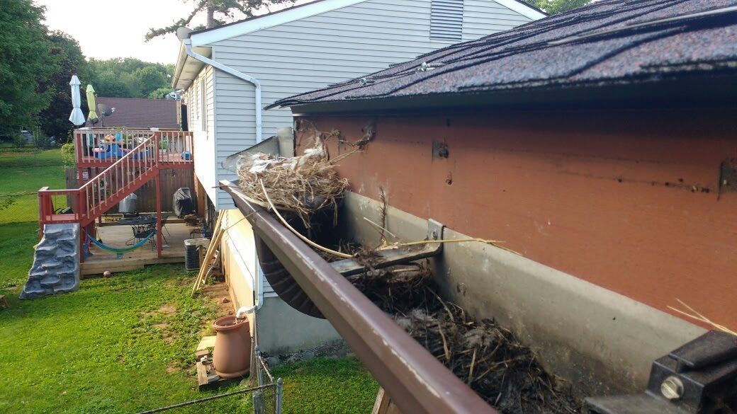 helmet and brush together before brush 7-9-18