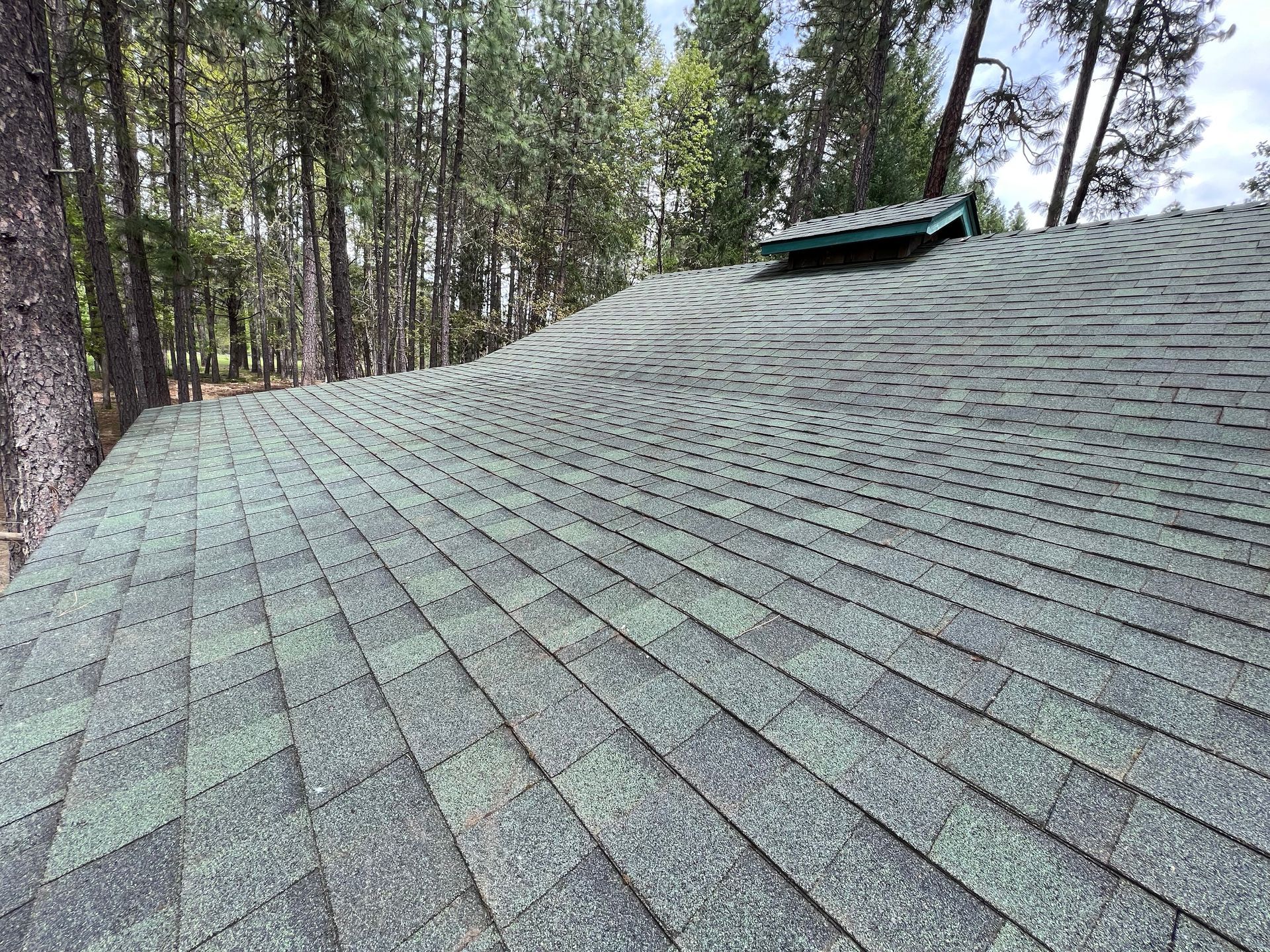 After roof cleaning