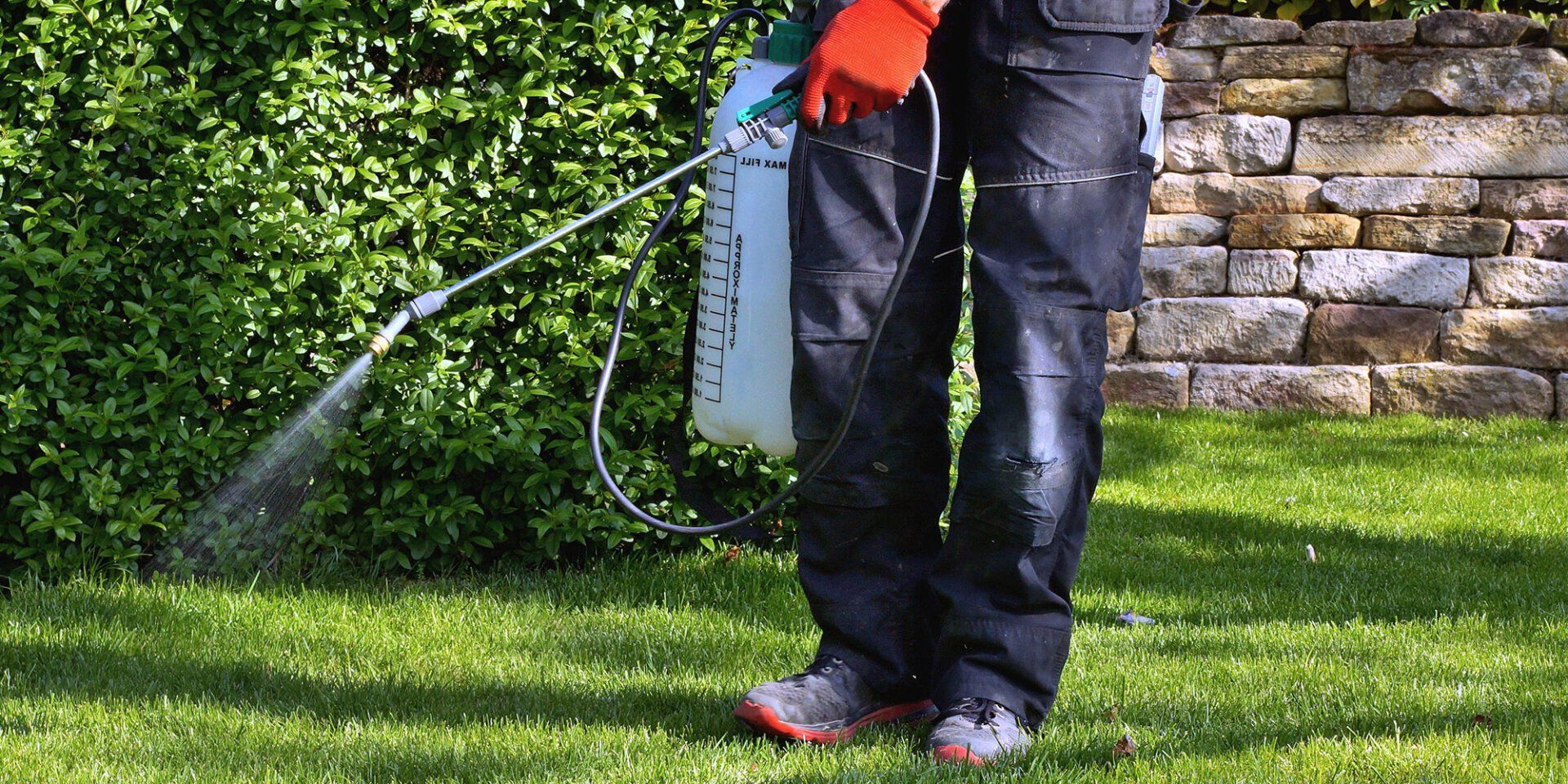 Man spraying pest control solution on the exterior of a residential building to prevent pest infestations