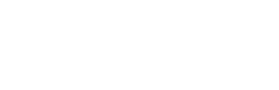 Chief's Gutter Service logo