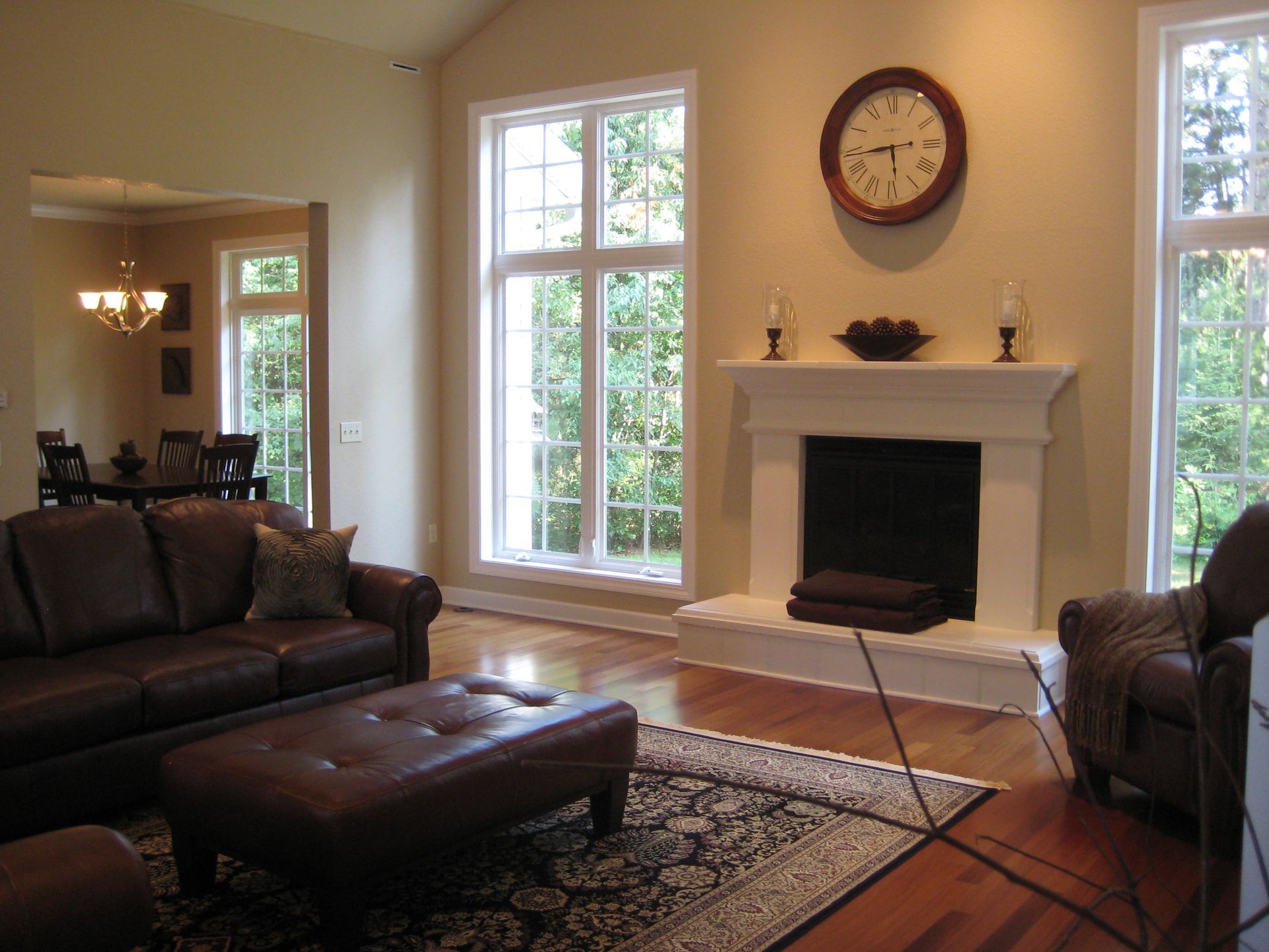 Living room with leather sofa