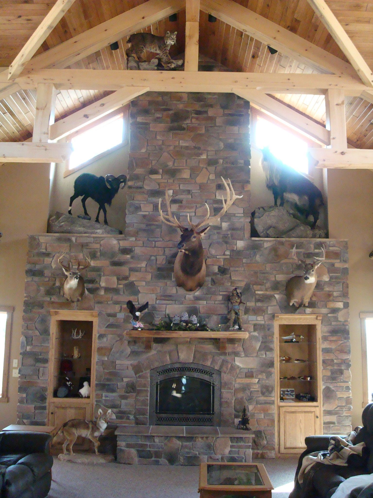 Wall with animal display